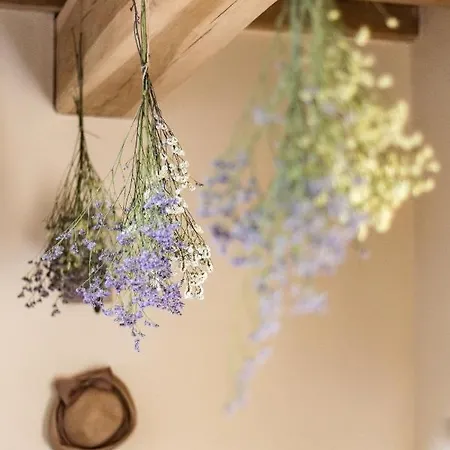 La Dimora Di Orfeo B&B Bed and breakfast